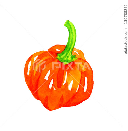 橘色(紅色)哈瓦那辣椒 - 手繪水彩蔬菜插圖。 橘色(紅色)哈瓦那辣椒 - 手繪水彩蔬菜插圖。 139788253