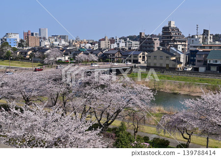 Sai River with cherry blossoms in full bloom Sai River with cherry blossoms in full bloom 139788414