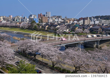Sai River with cherry blossoms in full bloom Sai River with cherry blossoms in full bloom 139788415