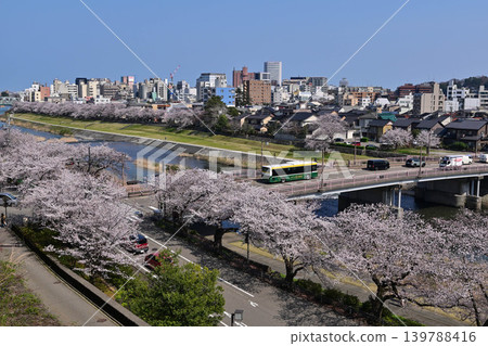 Sai River with cherry blossoms in full bloom Sai River with cherry blossoms in full bloom 139788416
