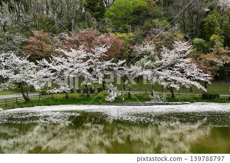 Mt. Utatsu in full bloom Mt. Utatsu in full bloom 139788797