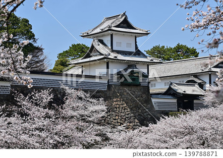 金澤城公園櫻花盛開 139788871
