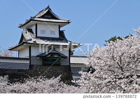 金澤城公園櫻花盛開 139788872