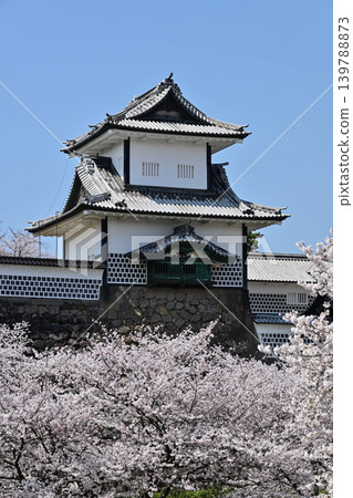 Kanazawa Castle Park with cherry blossoms in full bloom Kanazawa Castle Park with cherry blossoms in full bloom 139788873