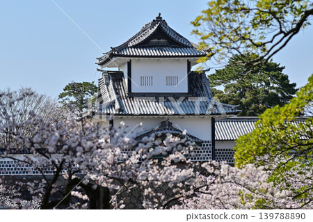 金澤城公園櫻花盛開 金澤城公園櫻花盛開 139788890