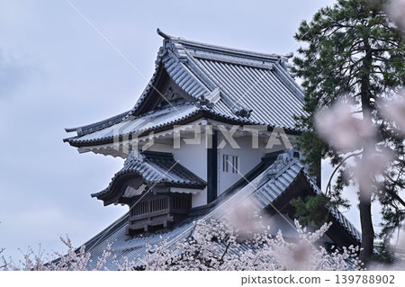 金澤城公園櫻花盛開 139788902