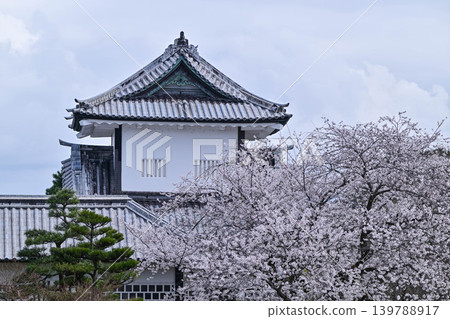 Kanazawa Castle Park with cherry blossoms in full bloom 139788917
