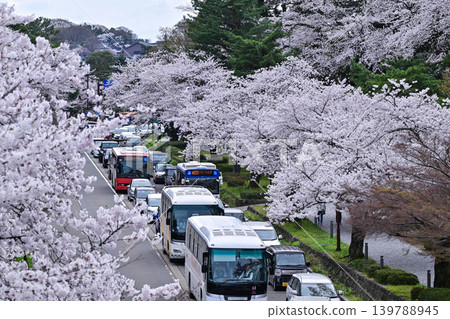 金澤城公園櫻花盛開 金澤城公園櫻花盛開 139788945