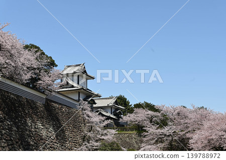 金澤城公園櫻花盛開 139788972