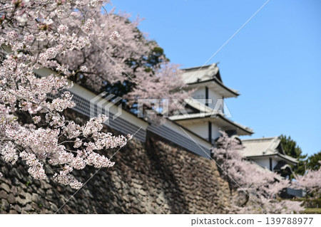 金澤城公園櫻花盛開 139788977