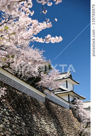 金澤城公園櫻花盛開 139788979