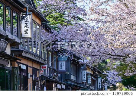春天的兼六園,櫻花盛開 春天的兼六園,櫻花盛開 139789066