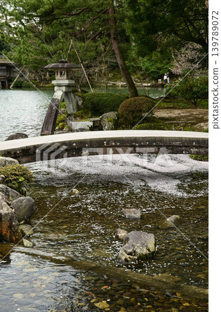 春天的兼六園，櫻花盛開 139789072