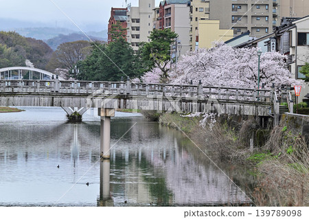 Beautiful cherry blossoms at Kazuemachi Chaya District Beautiful cherry blossoms at Kazuemachi Chaya District 139789098