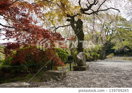 Garden trees Garden trees 139789265