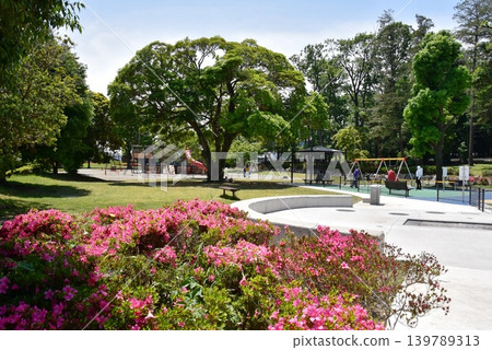 Ayase City, Kanagawa Prefecture: Full-blooming azaleas, playground equipment, and fresh greenery in the southern area of Koryo Park. Ayase City, Kanagawa Prefecture: Full-blooming azaleas, playground equipment, and fresh greenery in the southern area of Koryo Park. 139789313