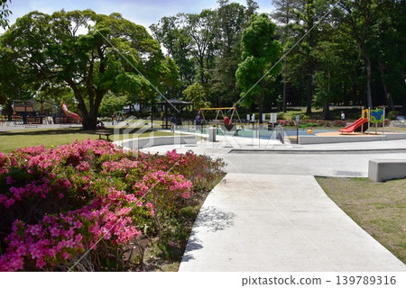 Ayase City, Kanagawa Prefecture: Full-blooming azaleas, playground equipment, and fresh greenery in the southern area of Koryo Park. Ayase City, Kanagawa Prefecture: Full-blooming azaleas, playground equipment, and fresh greenery in the southern area of Koryo Park. 139789316