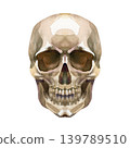 Watercolor illustration of a human skull, symmetrically hand drawn. The front view of the cranium shows detailed anatomical features like eye sockets and teeth, painted in earthy brown and beige tones 139789510