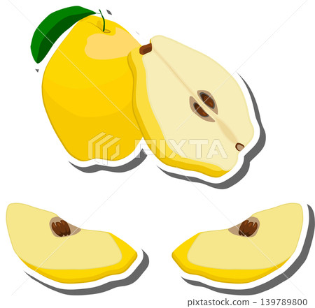 Fruit theme from set juicy delicious quince of various sizes Fruit theme from set juicy delicious quince of various sizes 139789800