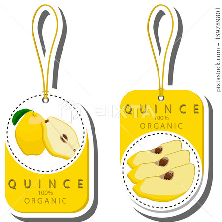 Fruit theme from set juicy delicious quince of various sizes 139789801