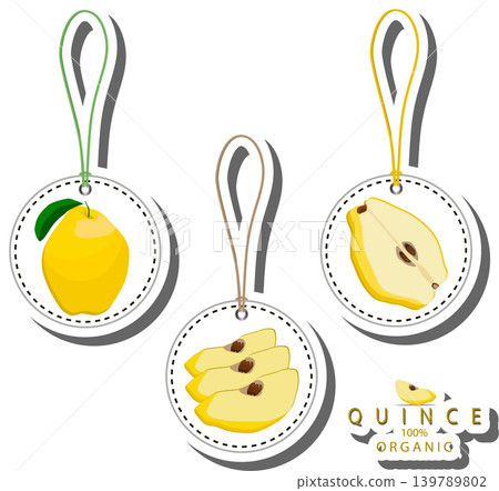 Fruit theme from set juicy delicious quince of various sizes Fruit theme from set juicy delicious quince of various sizes 139789802