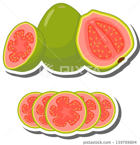 Fruit theme from set juicy delicious guava of various sizes 139789804