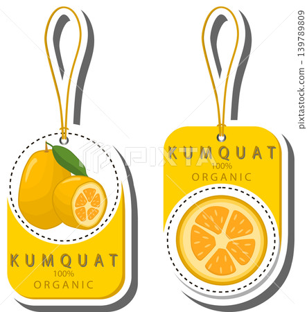 Fruit theme from set juicy delicious kumquat of various sizes Fruit theme from set juicy delicious kumquat of various sizes 139789809