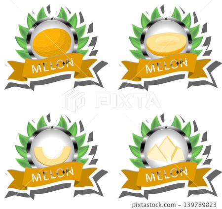 Fruit theme from set juicy delicious melon of various sizes Fruit theme from set juicy delicious melon of various sizes 139789823