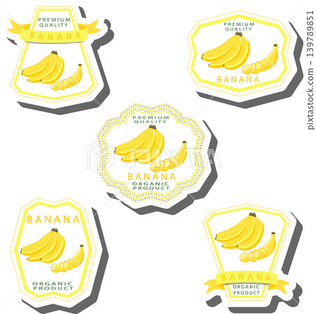 Fruit theme from set juicy delicious banana of various sizes 139789851