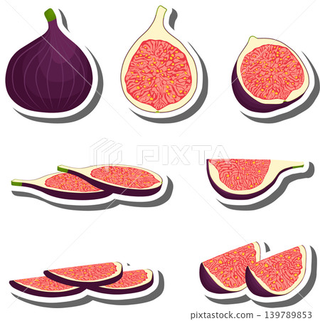 Fruit theme from set juicy delicious fig of various sizes Fruit theme from set juicy delicious fig of various sizes 139789853