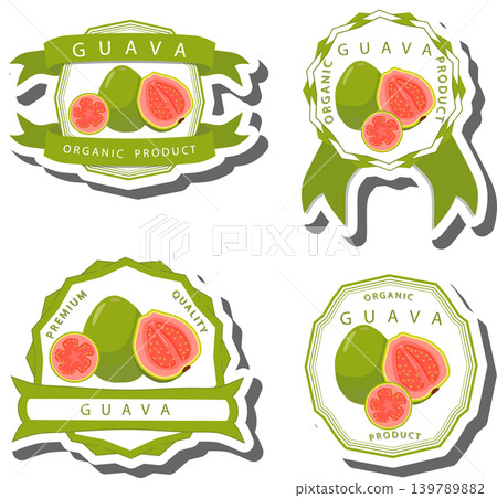Fruit theme from set juicy delicious guava of various sizes 139789882