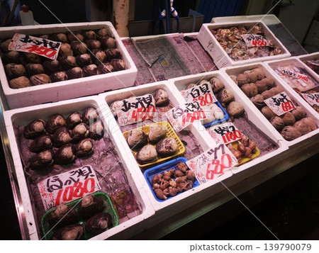 北海道苫小牧港市場 139790079