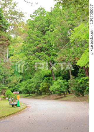 京都府立植物園的花卉 京都府立植物園的花卉 139790097