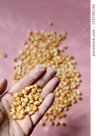Butterfly-shaped popcorn kernels held in the hand Butterfly-shaped popcorn kernels held in the hand 139790188