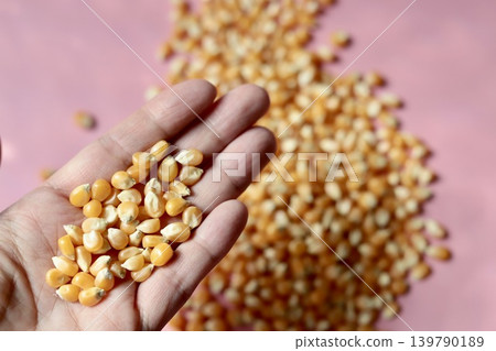 Butterfly-shaped popcorn kernels held in the hand Butterfly-shaped popcorn kernels held in the hand 139790189