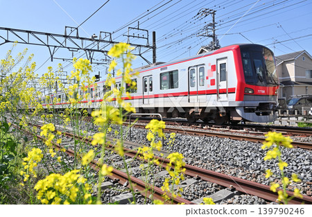 Railway (Private Railway): Tobu Isesaki Line, 70000 series, 71708F Railway (Private Railway): Tobu Isesaki Line, 70000 series, 71708F 139790246