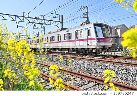 Railways - Private Railways: Tobu Isesaki Line, Tokyo Metro through service, Eidan 8000 series Railways - Private Railways: Tobu Isesaki Line, Tokyo Metro through service, Eidan 8000 series 139790247