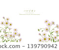 水彩手繪飛蓬植物插圖 139790942