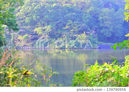 Hatcho Lake, Yoshimi Town, Saitama Prefecture Hatcho Lake, Yoshimi Town, Saitama Prefecture 139790956