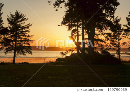 The setting sun filtering through the trees and the tranquil beach The setting sun filtering through the trees and the tranquil beach 139790989
