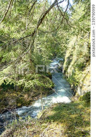 The beautiful clear stream that flows through the Tofino Forest The beautiful clear stream that flows through the Tofino Forest 139790999
