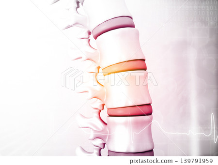 Anatomy of the human Spine on medical background Anatomy of the human Spine on medical background 139791959