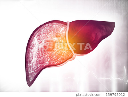 Diseased human liver on science background Diseased human liver on science background 139792012