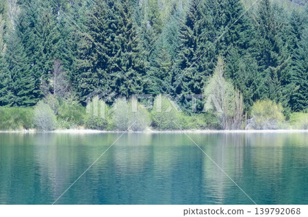 Forest of different shades of green on a lake in southern Argentina.. Wallpaper 139792068