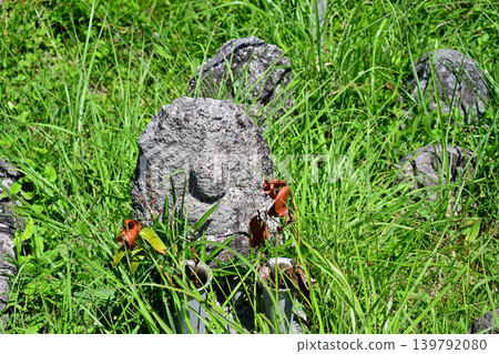 Stone Buddha in Toyono Town 139792080