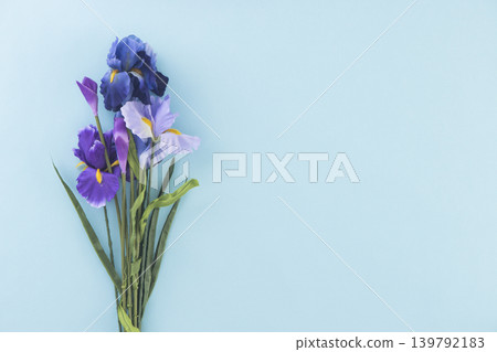 鳶尾花背景材料 鳶尾花背景材料 139792183