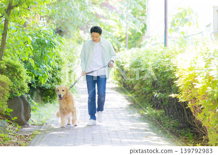 A man walking his pet, a large dog, a Golden Retriever. A man walking his pet, a large dog, a Golden Retriever. 139792983