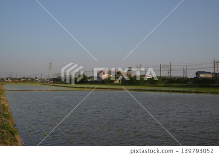 Rice paddies and fields illuminated by the setting sun. 139793052