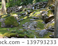 moss rock field 139793233