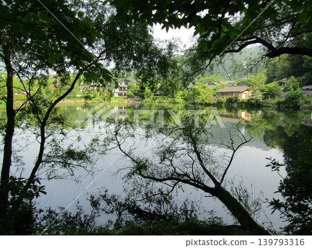 A view of Kinrin Lake, a popular tourist spot in Yufuin, Yufu City, Oita Prefecture, from Tenso Shrine. 139793316